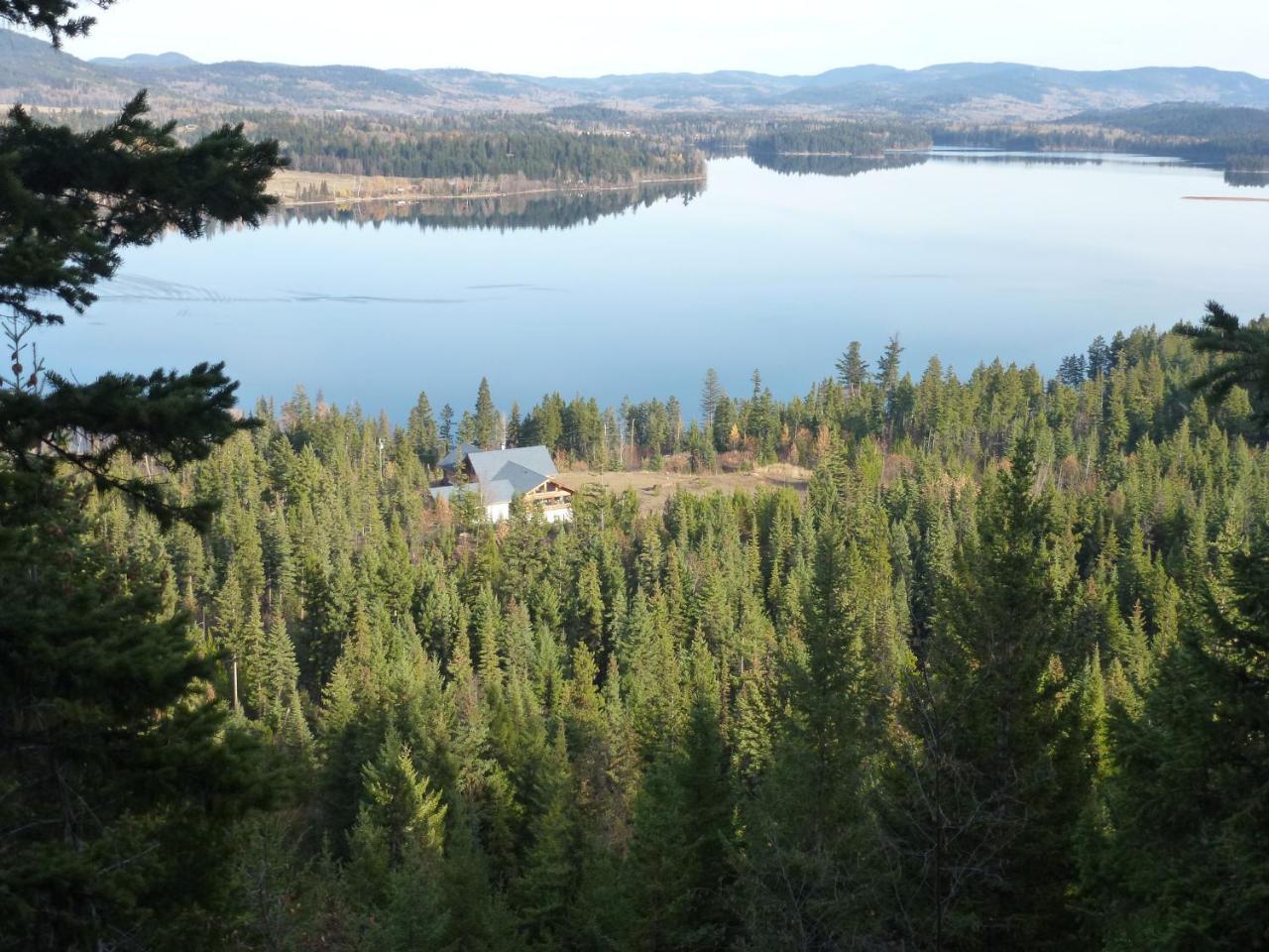 Little Black Bear Lodge/B&B Bridge Lake Экстерьер фото